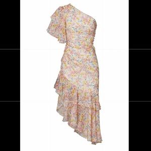 NEW AMUR floral Clayton Dress size 10